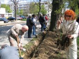 SLD posadzi drzewka w głogowskim parku