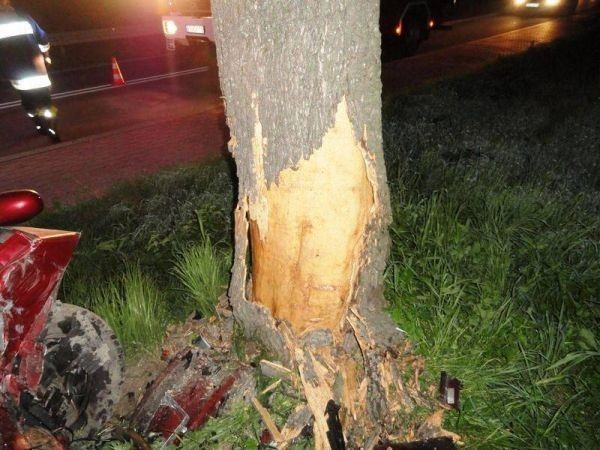 Wypadek Krynica-Zdrój: auto uderzyło w drzewo, ranne 3 osoby [ZDJĘCIA]