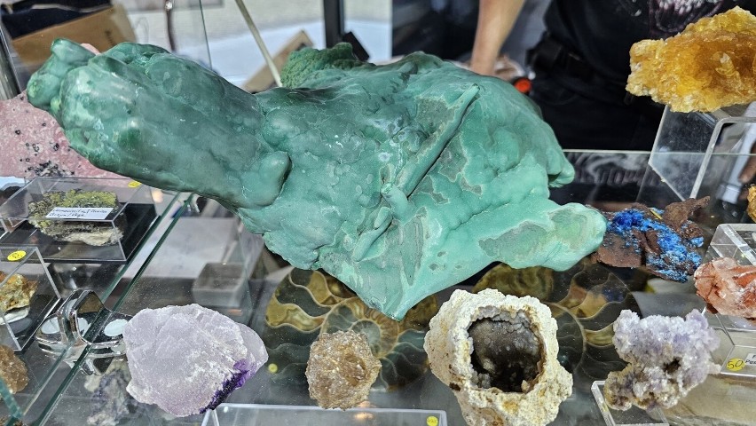 Ciekawostki na giełdzie minerałów w Kieleckim Centrum Kultury. Zachwycające kamienie szlachetne i inne okazy. Zobaczcie zdjęcia