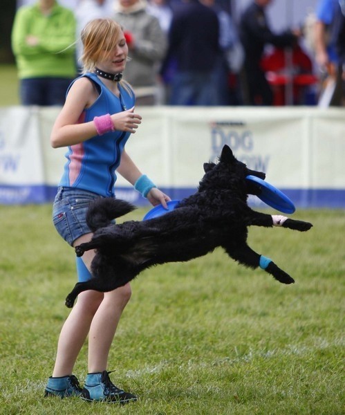 Na Cytadeli psy walczą o tytuł mistrza Europy Dogfrisbee...