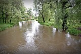 Sytuacja powodziowa na Opolszczyźnie - 21.06.2020. Deszcz ma jeszcze padać, ale nie ma zagrożenia powodzią