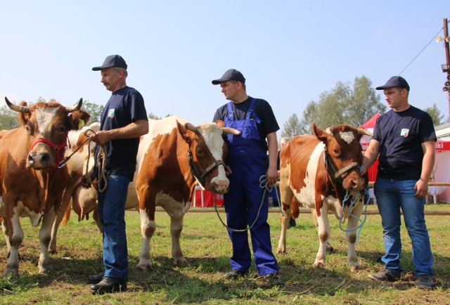 Agropromocja 2014 - sukcesy gorlickich rolników i wystawców