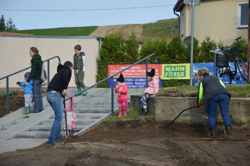 Posadzili kolejne tysiąc żonkili dla hospicjum. Tym razem w Nowej Wsi Lęborskiej