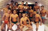 Mister Wielkopolski 2014 - Poznaniak pokonał konkurencję [ZDJĘCIA] 