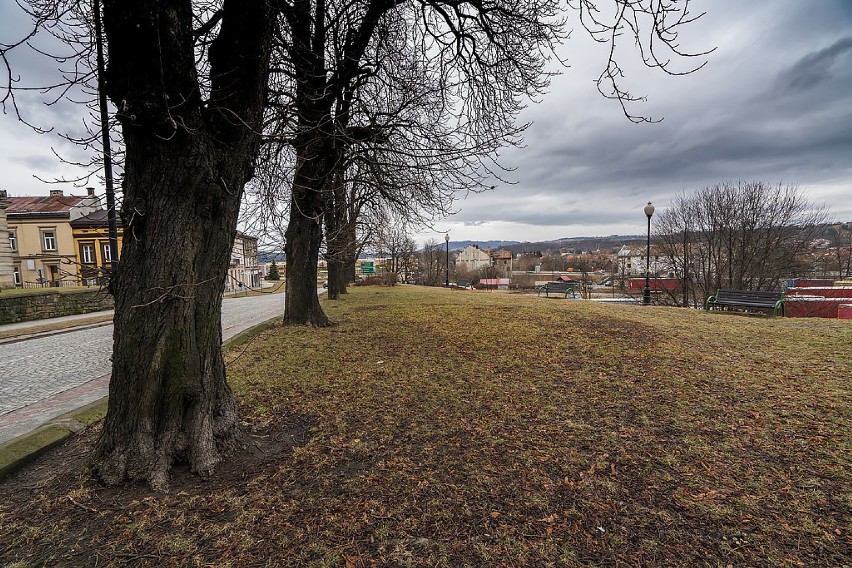 Nowy Sącz. Chcą upamiętnienia kirkutu za synagogą