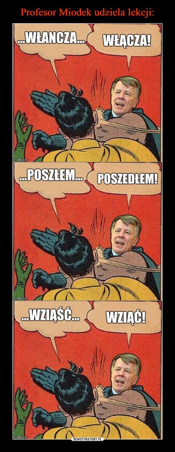 Zobacz memy z prof. Janem Miodkiem w roli głównej [ZDJĘCIA]