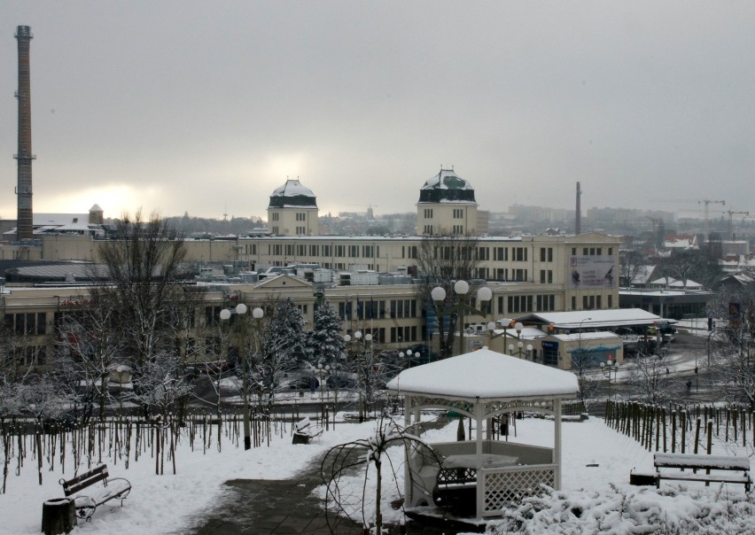 Widok z Palmiarni na miasto (zdjęcia)