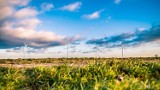 W gminie Żukowice rusza budowa farmy wiatrowej 