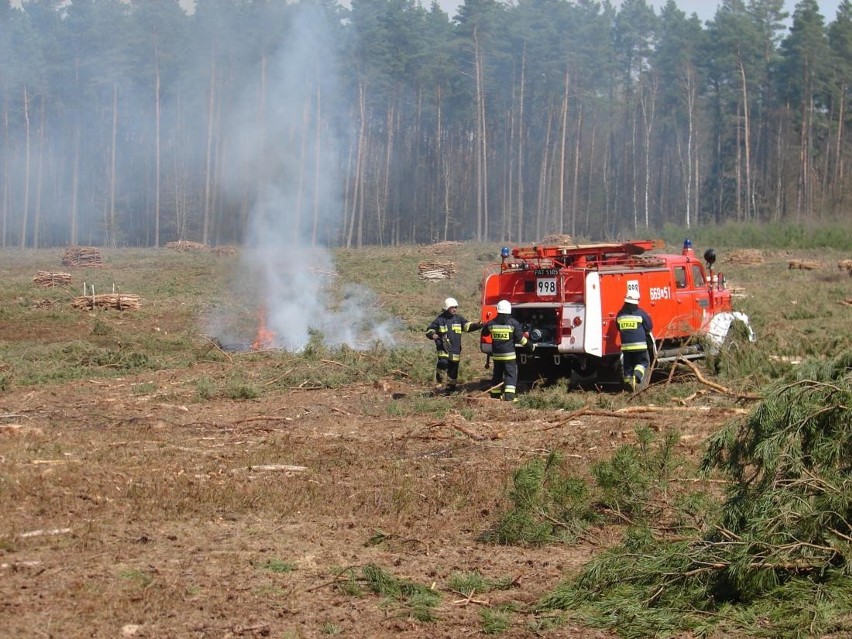 Złotów: Ćwiczenia straży pożarnej na obszarach leśnych w Wersku. Ćwiczenia straży Wersk [GALERIA]