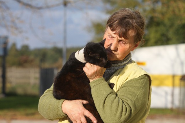 Maria Mrozińska z pokaleczonym kotkiem, który wczoraj trafił do schroniska&#8233;