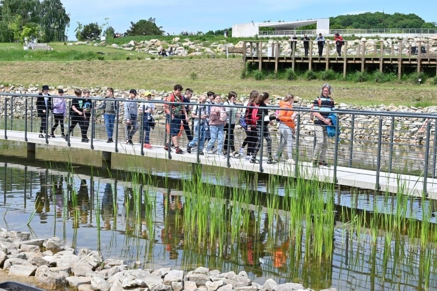 We wtorek, 1 czerwca Ogród Botaniczny w Kielcach cieszył się...