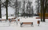 Park w Lipnie zmieni oblicze. Rewitalizacja jeszcze w tym roku