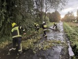Strażacy usuwali skutki burzy nad Piotrkowem i powiatem piotrkowskim 11.08.2021