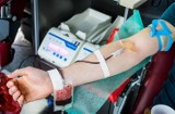 W Świeciu i Chełmnie będzie można oddać krew dla potrzebujących