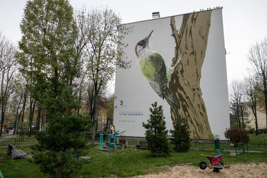 Dzięcioł zielony, słowik szary, pustułka, czyli ptasie murale na os. Na Kozłówce.  [GALERIA]