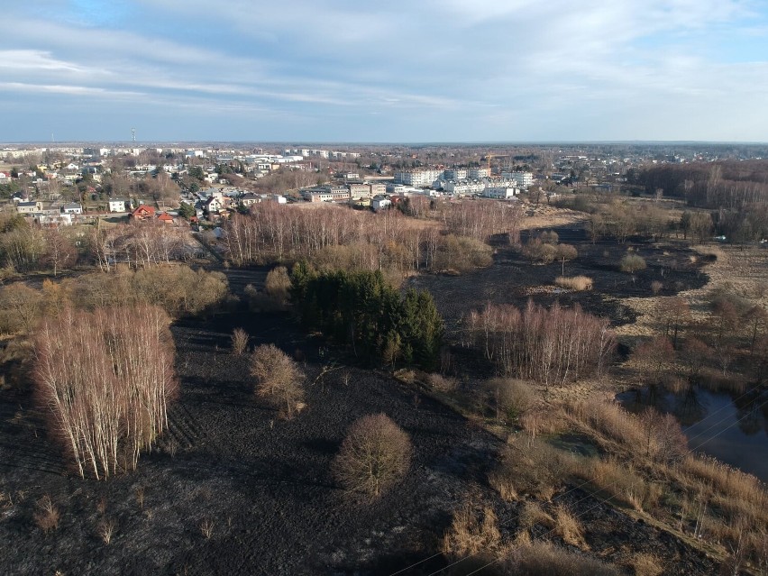 Pożar nieużytków przy ul. Stara Droga w Radomsku. Ogień na obszarze 8 ha