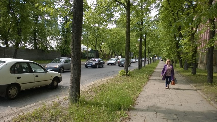 Budowa tunelu na Niciarnianej w Łodzi. Czy wytną aż 400 drzew? [ZDJĘCIA]