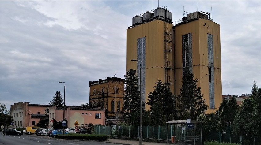 Leszczyńskie Zatorze budzi skrajne emocje. Mieszkańcy chwalą ciszę, ale narzekają na nawierzchnię Święciechowskiej ZDJĘCIA