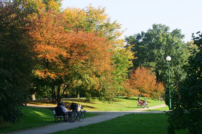 Legnicki park w kolorach jesieni (ZDJĘCIA)