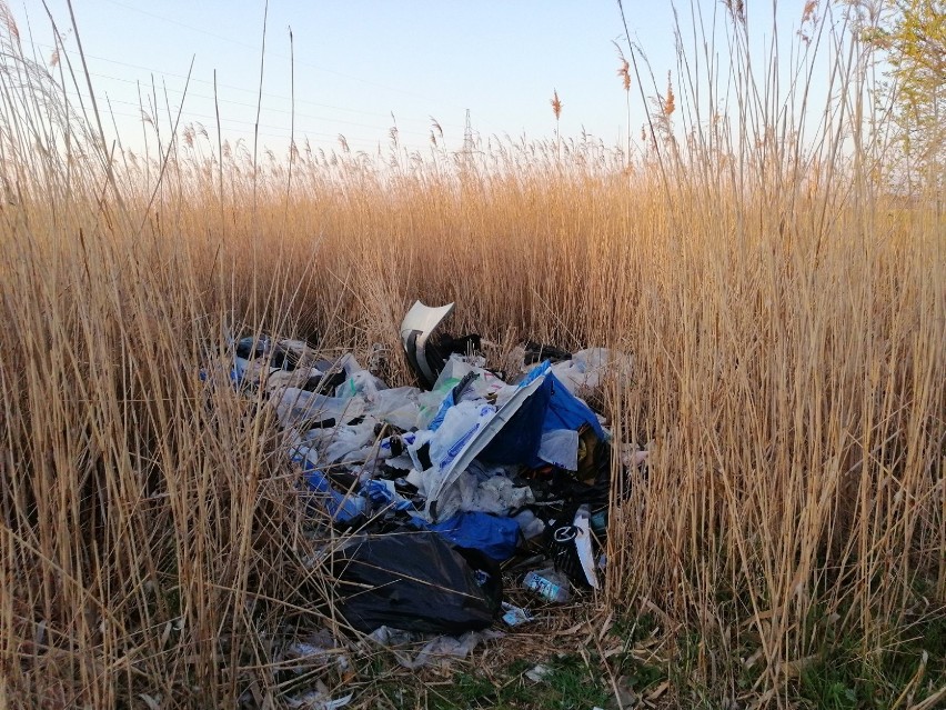 Ktoś wyrzucił części samochodowe, pojemniki po olejach, plastik i folię przy ul. Kwiatów Polskich w Zieleniewie  