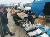 Takie są ceny ryb na targowisku w Kujawsko-Pomorskiem - 15. 12 2023. Trzeba zapłacić od 14 do 70 zł za kg ryby na Boże Narodzenie