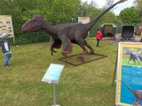  Muzeum Okręgowe w Koninie zaprasza na Światowy Dzień Dinozaura