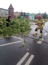 Gmina Dolice. Wieje! W Krępcewie drzewo spadło na linię energetyczną ZDJĘCIA