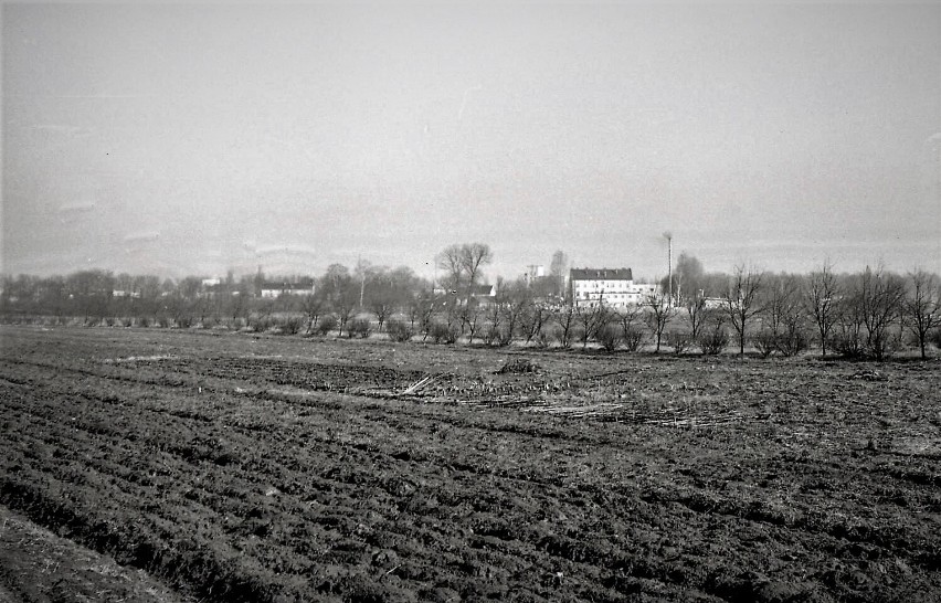 Sieradz na archiwalnych zdjęciach