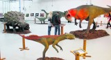 Wystawa dinozaurów w Pomorskim Parku Naukowo-Technologicznym