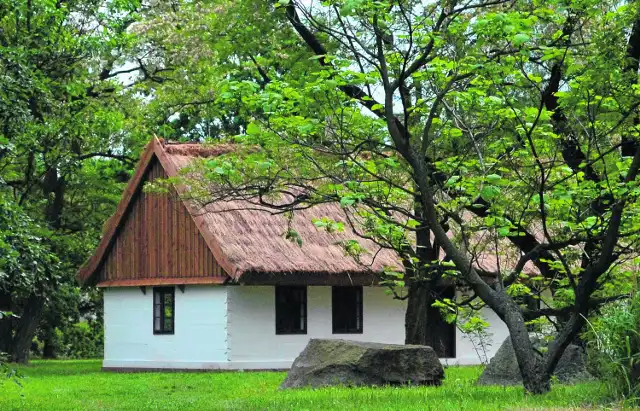 W ogrodzie botanicznym można już oglądać drewnianą chałupę z Ldzania