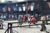 Turniej rycerski w grodzie w Biskupicach. Można zobaczyć najlepszych wojów w Europie