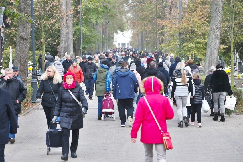 Wrocław. Mnóstwo ludzi na cmentarzu Osobowickim. Zobacz zdjęcia