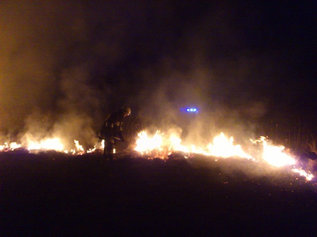 Gdy strażacy dotarli na miejsce spaleniu uległ już ponad hektar terenu.