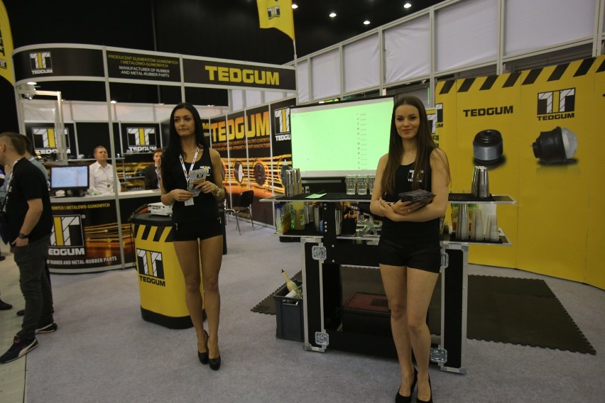 ProfiAuto Show 2015 - piękne hostessy [ZDJĘCIA]