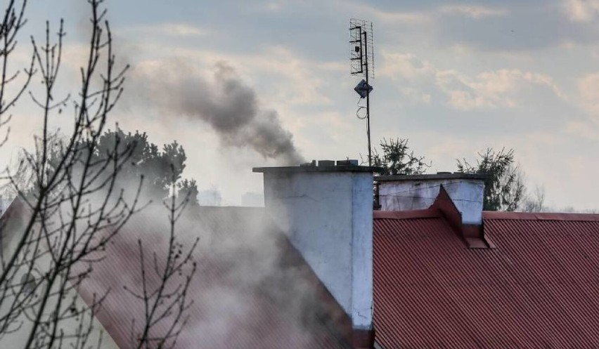 Pleszew w walce o czyste powietrze. Najlepsi w Wielkopolsce...