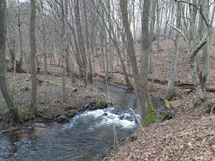 Kłodawa – rzeka płynąca przez trzy gminy
