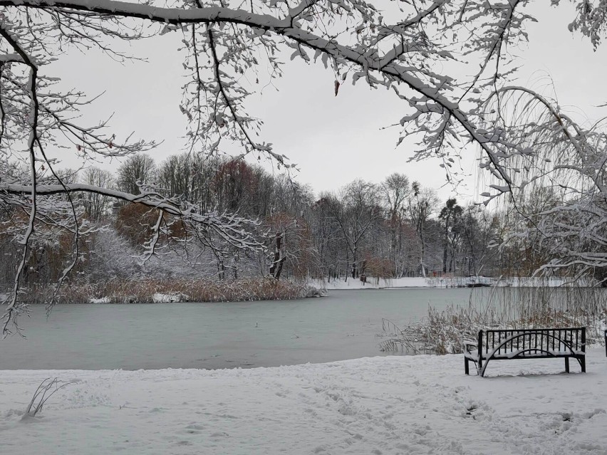 Piękna zima w Brzegu - 21.01.2023r.