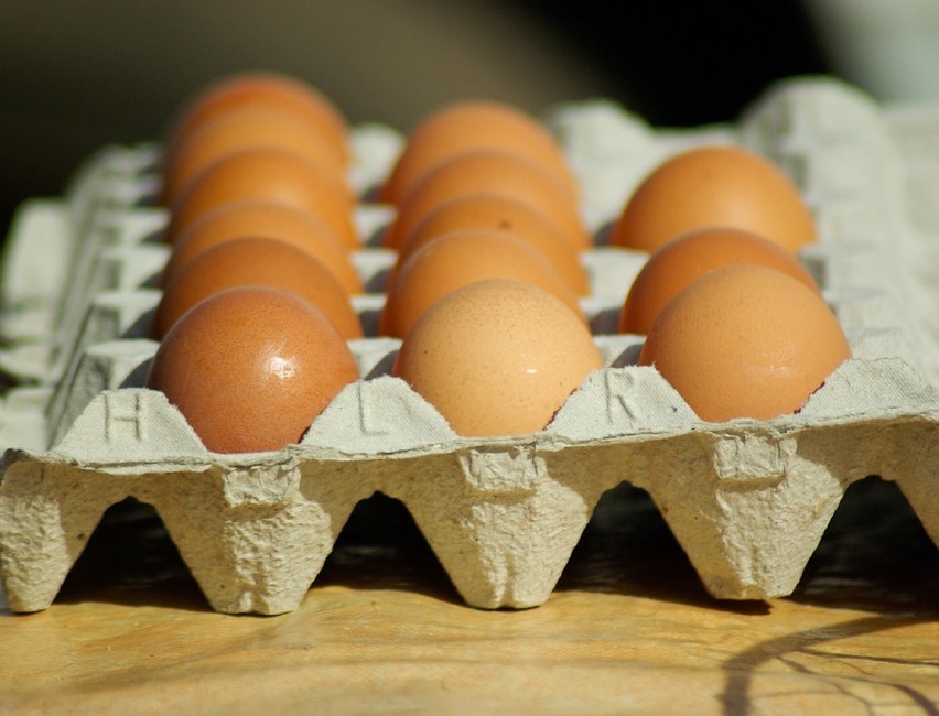 Uwaga! Niektóre polskie jajka i produkty zawierają bakterie...