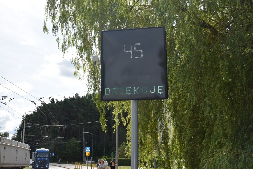 Gdynia. Sto przejść dla pieszych ma zostać dodatkowo doświetlonych. Na 36 z nich będzie bezpieczniej już w przyszłym roku  