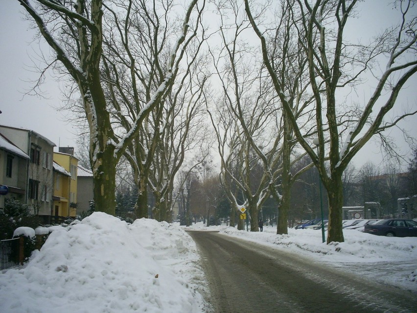 Ulica Bolesława Chrobrego. Fot. Dorota Michalczak