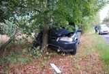 Wypadek w Tarnowski Górach przy Grzybowej. Uderzył w drzewo, pasażer w szpitalu