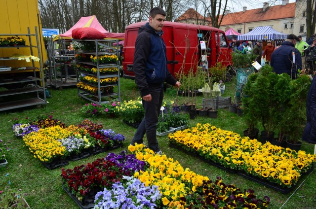 Piotrkowskie Targi Ogrodnicze 2015