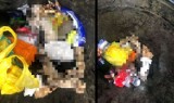 Zwłoki kota w koszu na śmieci w Solcu Kujawskim [zdjęcia]