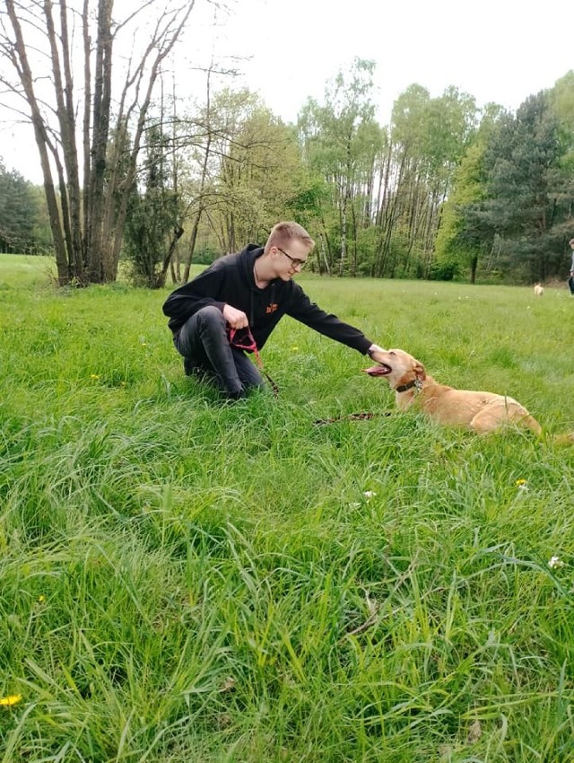 Młodzieżowa Rada Miasta zaangażowała się w pomoc schronisku zwierząt w Czartkach. Jako wolontariusze młodzi radni wyprowadzili "boksowe" psy na długi spacer i zapewnili im zabawę.