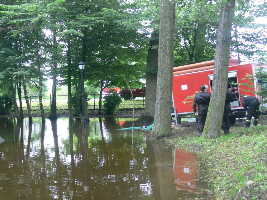 Park miejski w Łęczycy jest zalany