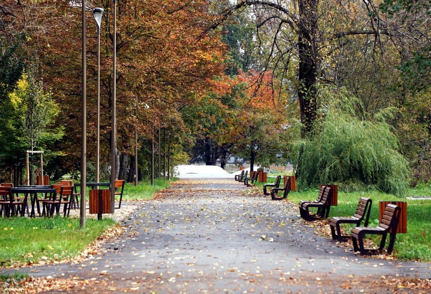 Park Ludowy w Lublinie w jesiennej odsłonie. Usłane kolorowymi liśćmi alejki zachwycają! Zobacz zdjęcia