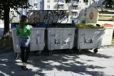Nowy Sącz: segregacja śmieci tylko na papierze