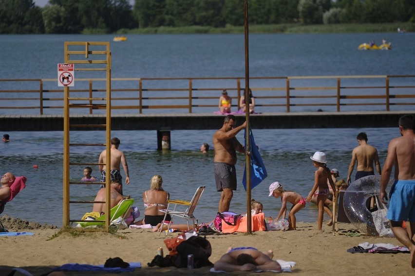 Upały dają wszystkim we znaki. Najlepiej ochłody poszukać...