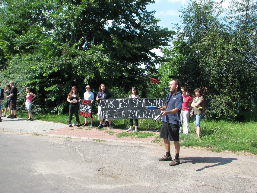 Cyrk Korona w Tarnowskich Górach: Protestują obrońcy zwierząt [SONDA]
