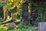 Niezwykły spacer po cmentarzu żydowskim w Bielsku-Białej
